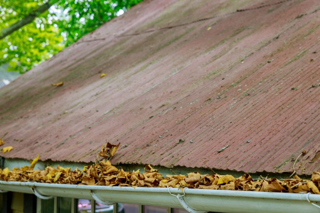 Gutters Overflowing With Dried Leaves And Debris | GPS: 28.631557, 81.272859